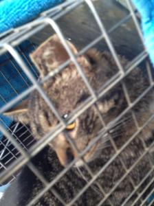 12378074_973222349412933_1272040335247574813_o